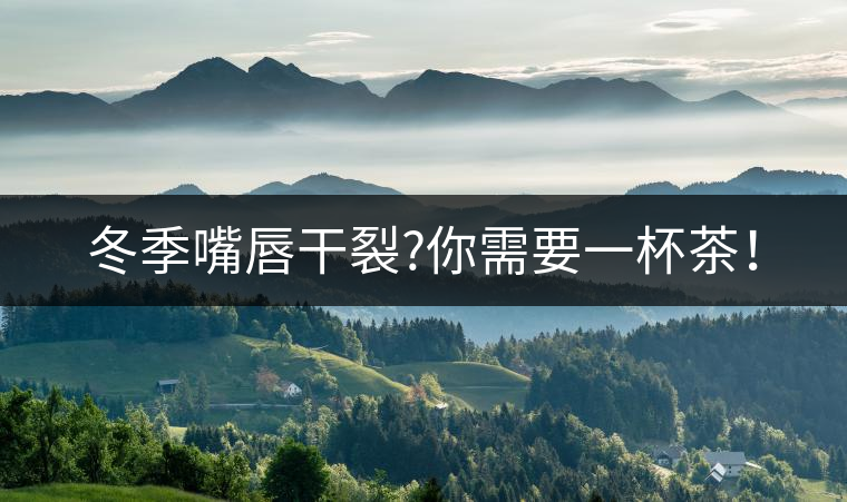 冬季嘴唇干裂?你需要一杯茶！