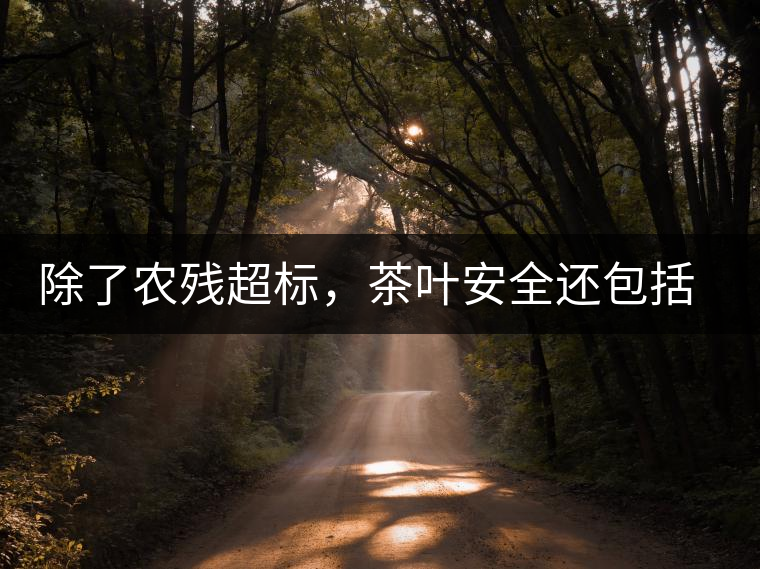 除了農(nóng)殘超標(biāo)，茶葉安全還包括哪些方面？
