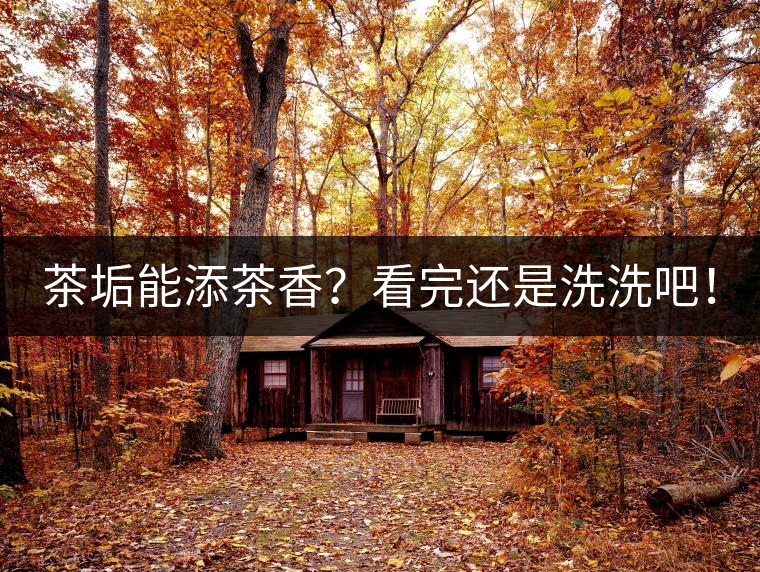 茶垢能添茶香？看完還是洗洗吧！