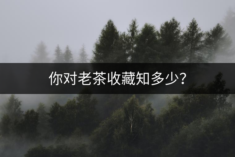 你對老茶收藏知多少？