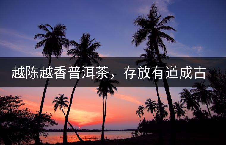 越陳越香普洱茶，存放有道成古董