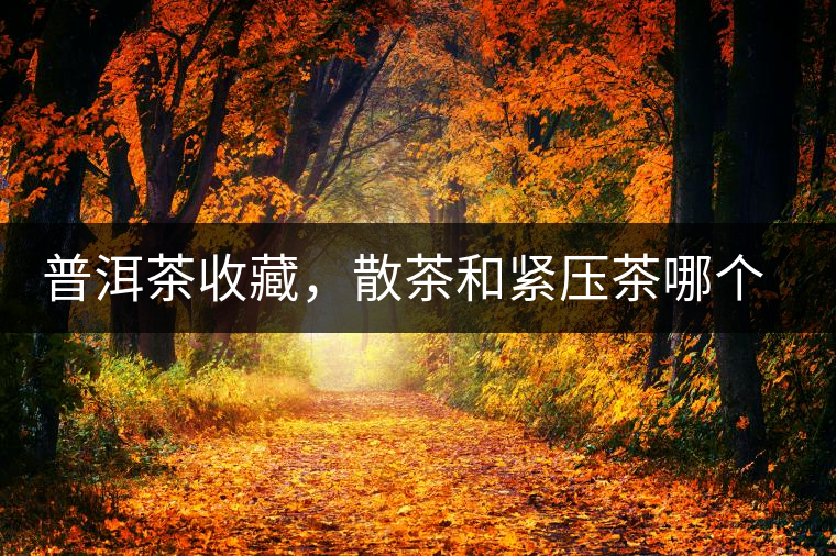 普洱茶收藏，散茶和緊壓茶哪個(gè)更好？