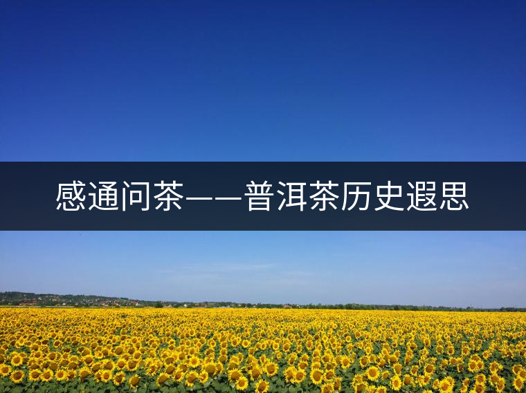 感通問茶——普洱茶歷史遐思 感通問茶——普洱茶歷史遐思