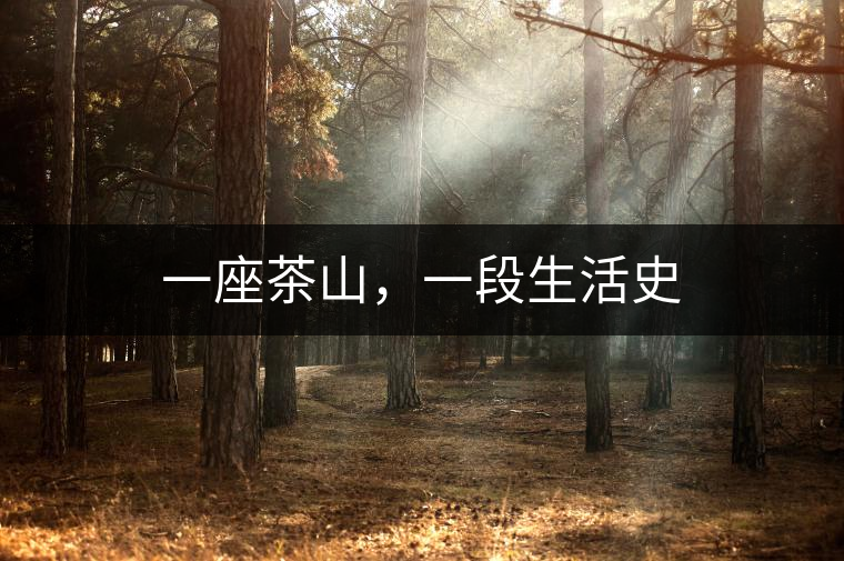 一座茶山，一段生活史
