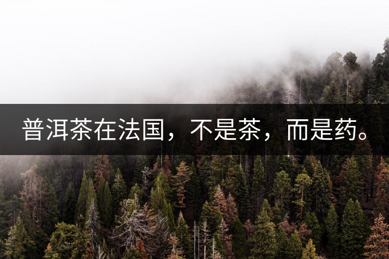 普洱茶在法國(guó)，不是茶，而是藥。