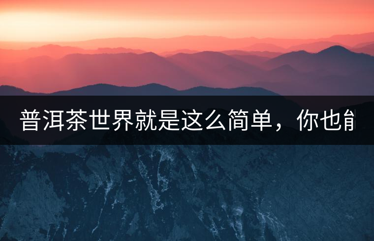 普洱茶世界就是這么簡單，你也能懂！