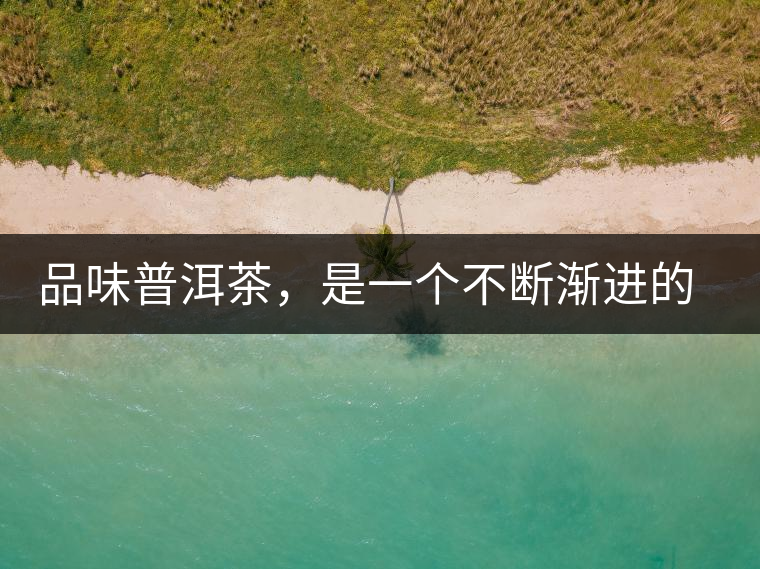 品味普洱茶，是一個(gè)不斷漸進(jìn)的過(guò)程