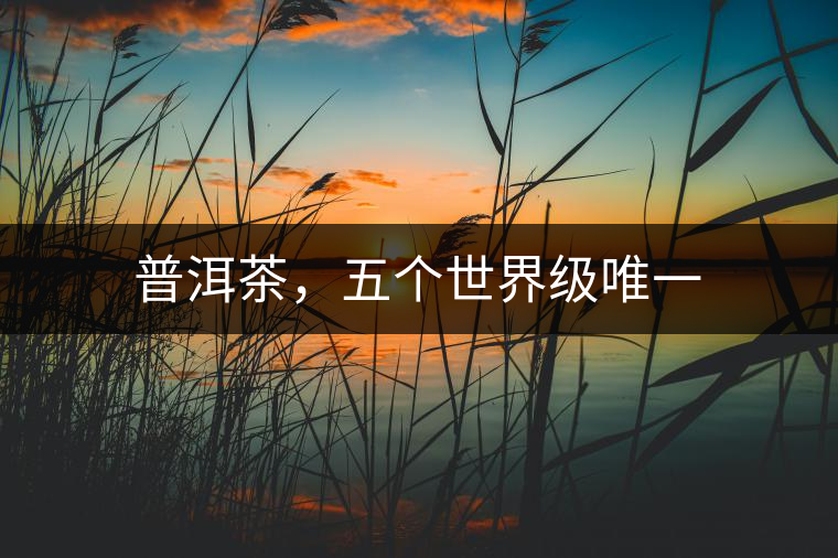普洱茶，五個(gè)世界級(jí)唯一