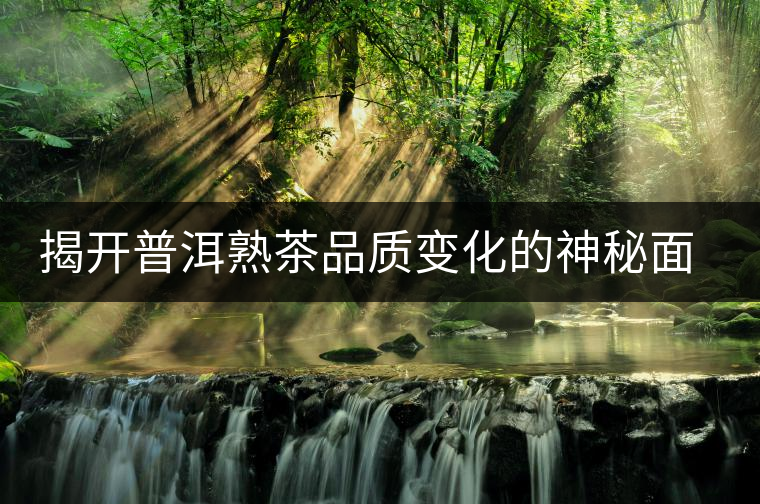 揭開(kāi)普洱熟茶品質(zhì)變化的神秘面紗