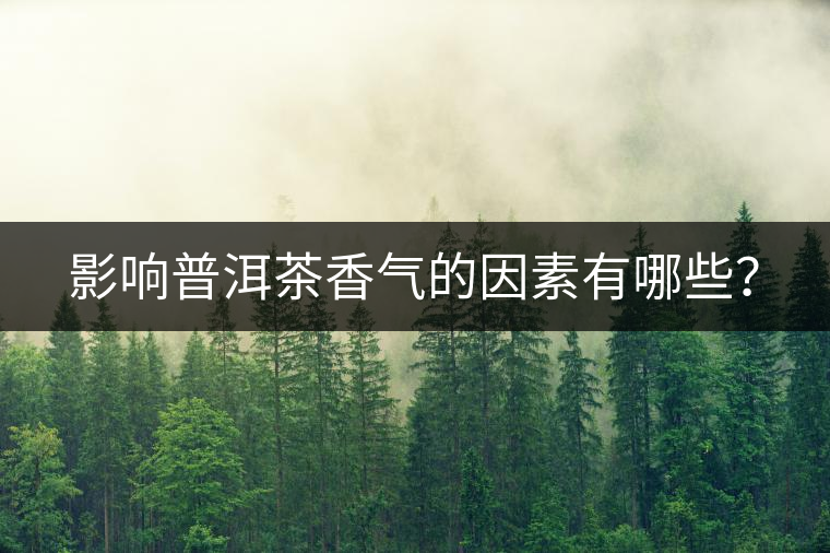 影響普洱茶香氣的因素有哪些？