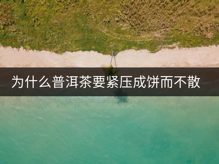 為什么普洱茶要緊壓成餅而不散存呢？