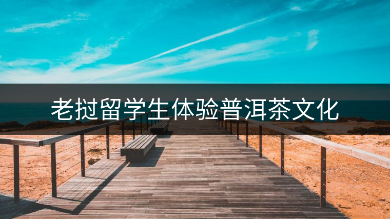 老撾留學生體驗普洱茶文化