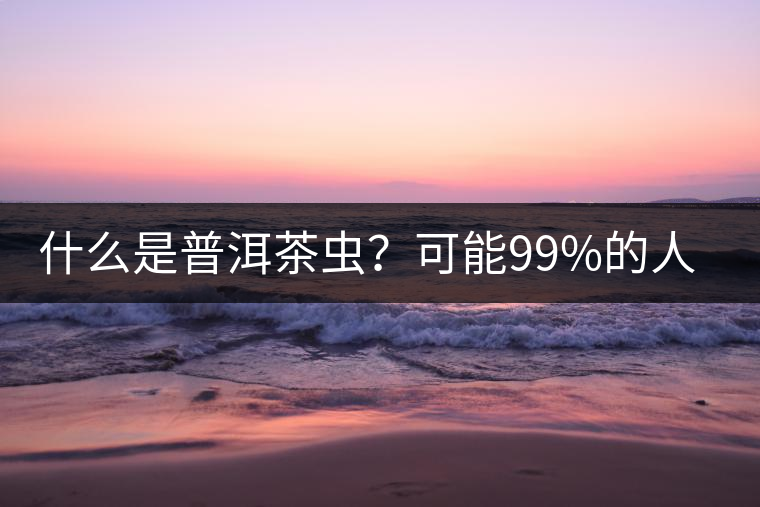 什么是普洱茶蟲？可能99%的人都不知道