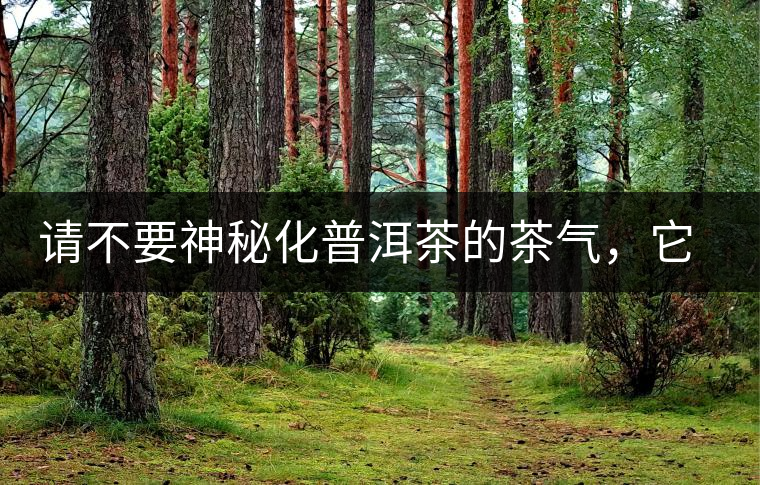 請(qǐng)不要神秘化普洱茶的茶氣，它是科學(xué)的存在