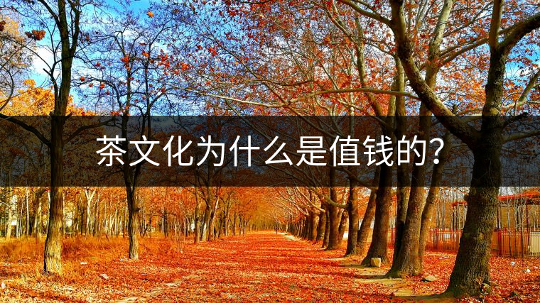茶文化為什么是值錢的？