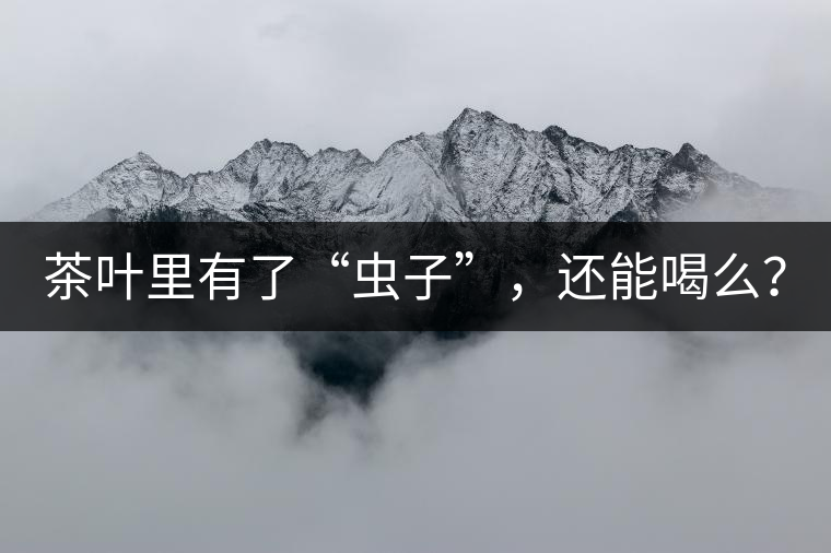 茶葉里有了“蟲子”，還能喝么？