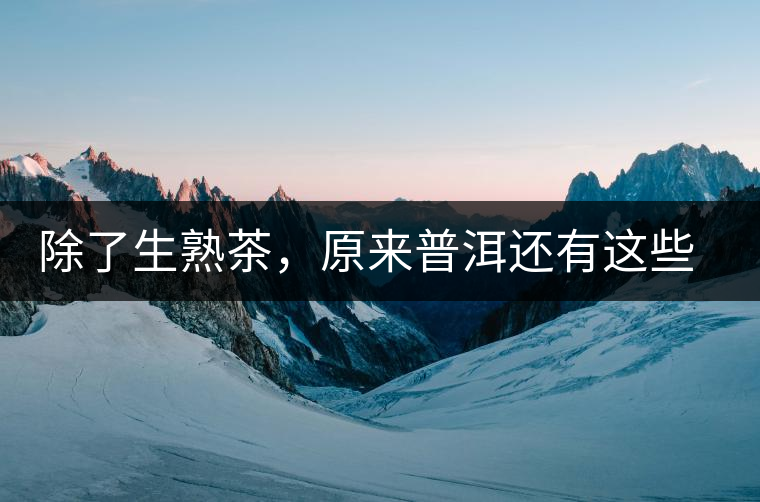 除了生熟茶，原來普洱還有這些鮮為人知的“寶貝”！