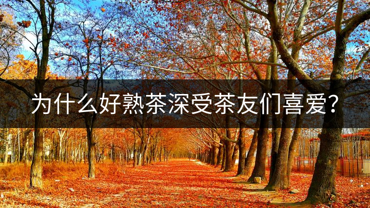 為什么好熟茶深受茶友們喜愛？