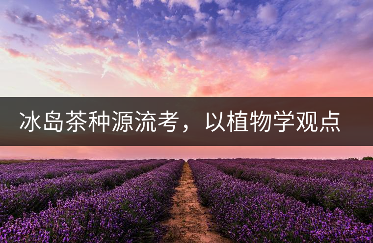 冰島茶種源流考，以植物學(xué)觀點(diǎn)解讀冰島茶