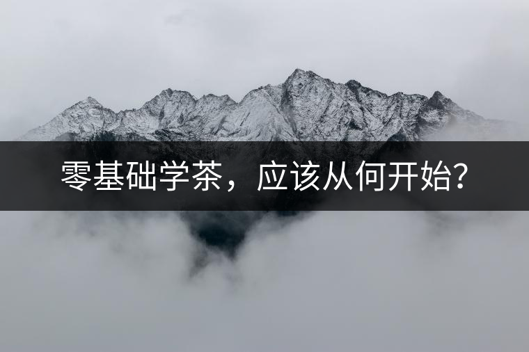 零基礎(chǔ)學(xué)茶，應(yīng)該從何開始？