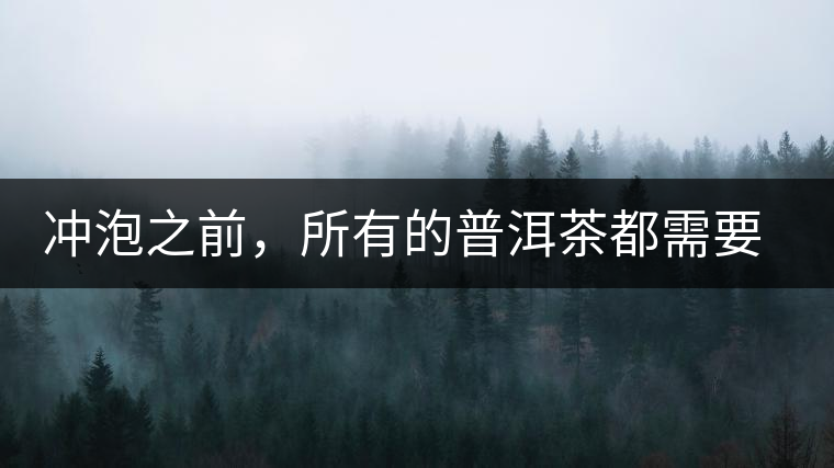 沖泡之前，所有的普洱茶都需要醒茶嗎？