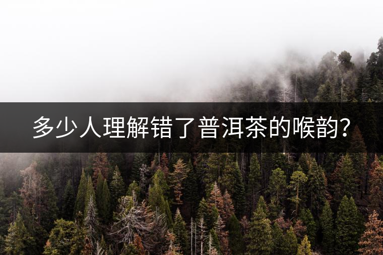 多少人理解錯(cuò)了普洱茶的喉韻？