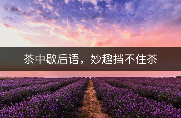 茶中歇后語(yǔ)，妙趣擋不住茶