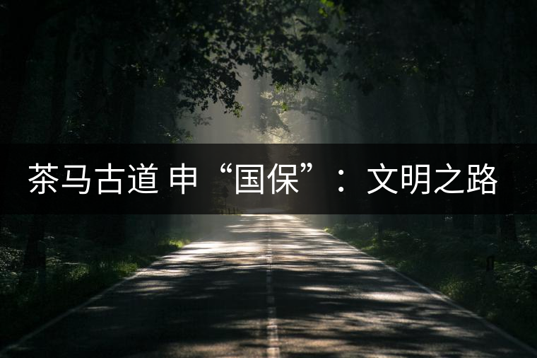 茶馬古道 申“國?！保何拿髦返脑侔l(fā)現(xiàn)