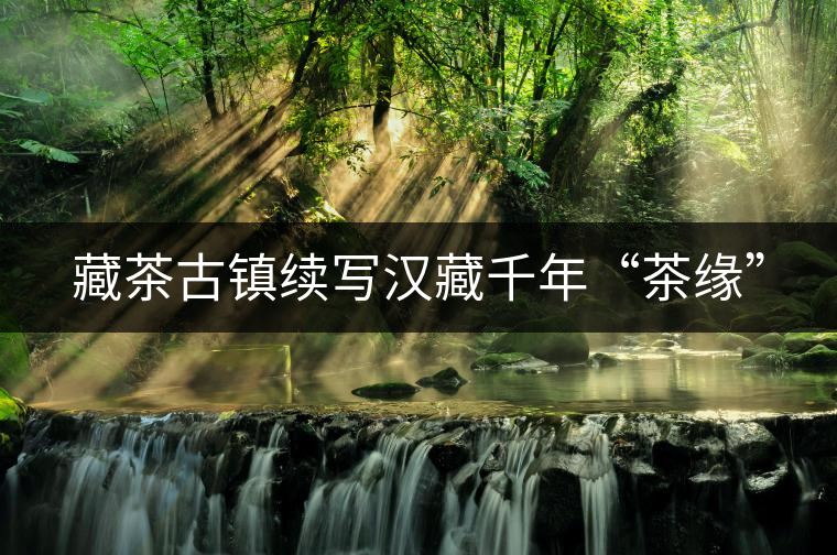 藏茶古鎮(zhèn)續(xù)寫漢藏千年“茶緣” 藏茶古鎮(zhèn)續(xù)寫漢藏千年“茶緣”