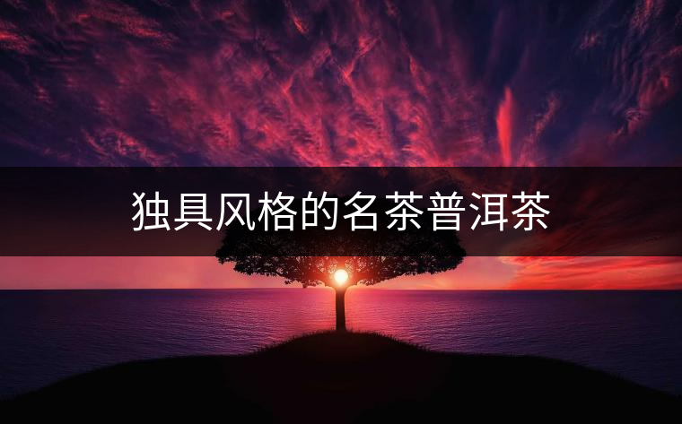 獨具風(fēng)格的名茶普洱茶 獨具風(fēng)格的名茶普洱茶