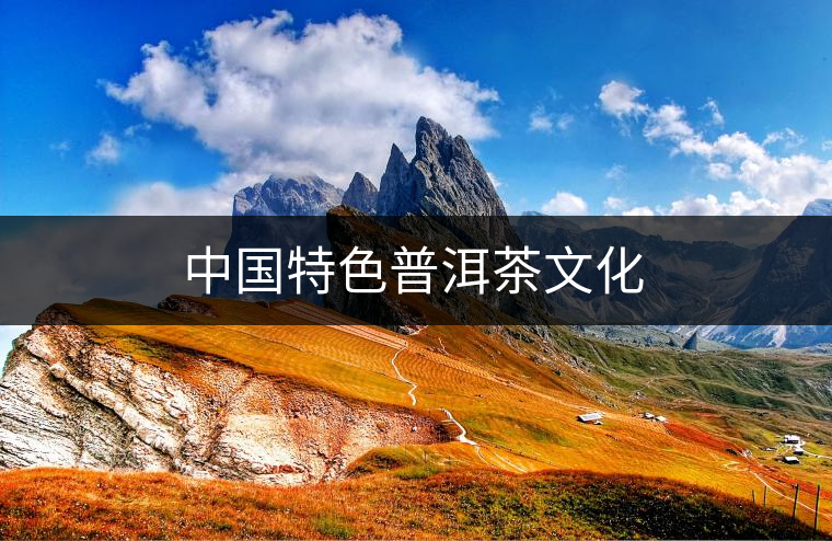中國特色普洱茶文化