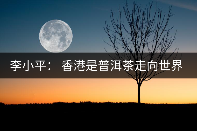 李小平： 香港是普洱茶走向世界的重要平臺