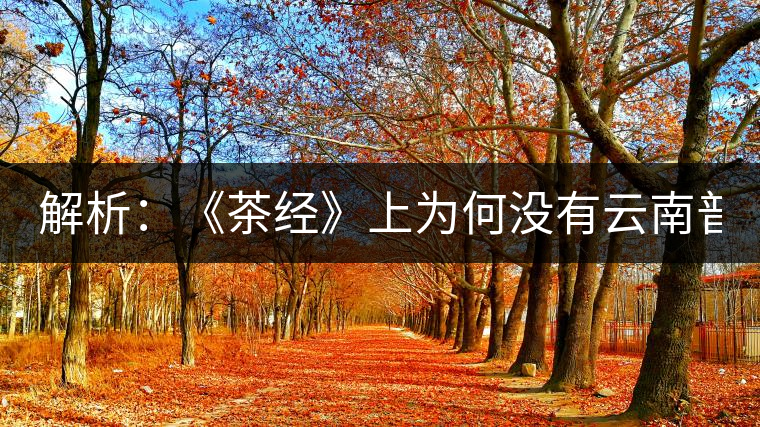解析：《茶經(jīng)》上為何沒有云南普洱茶 ？