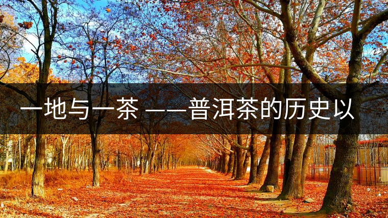 一地與一茶 ——普洱茶的歷史以及現(xiàn)場(chǎng)