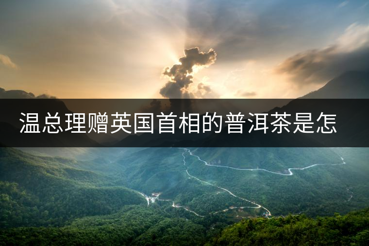 溫總理贈(zèng)英國(guó)首相的普洱茶是怎么制作的？