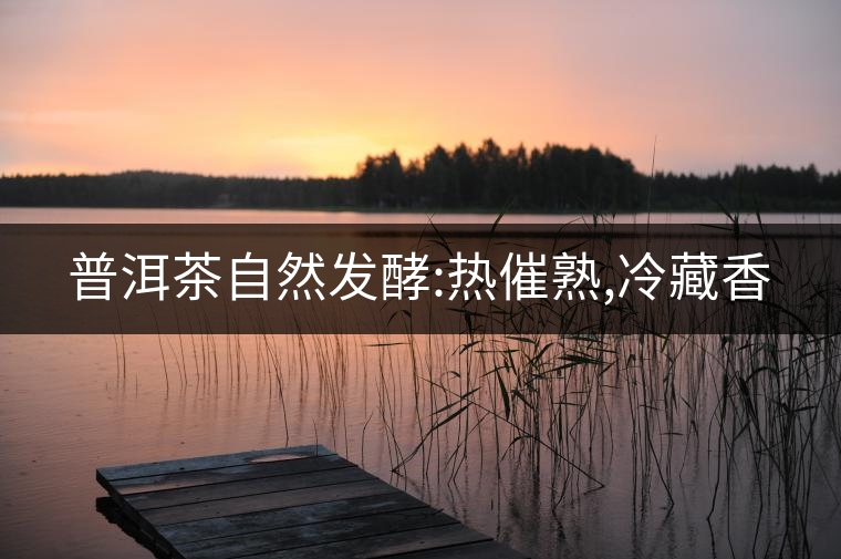 普洱茶自然發(fā)酵:熱催熟,冷藏香