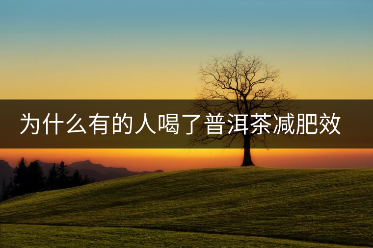為什么有的人喝了普洱茶減肥效果不明顯呢？
