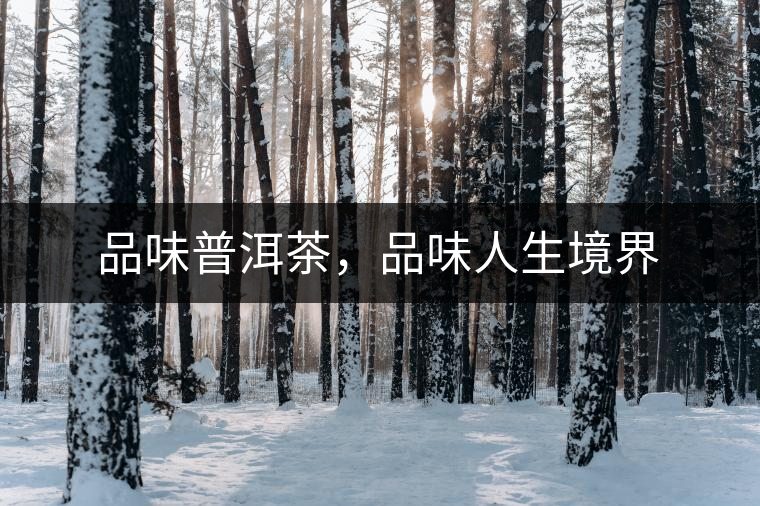 品味普洱茶，品味人生境界