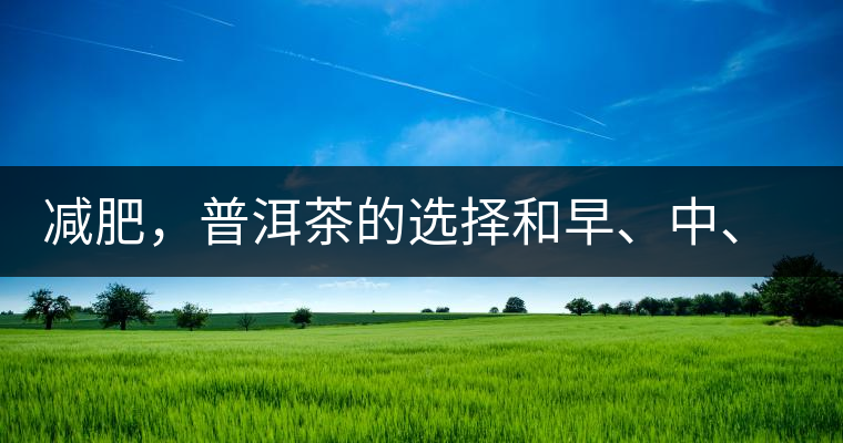 減肥，普洱茶的選擇和早、中、晚的喝法