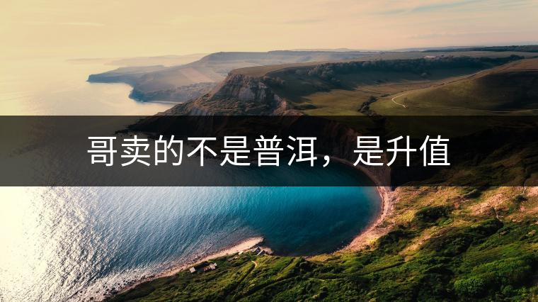 哥賣的不是普洱，是升值