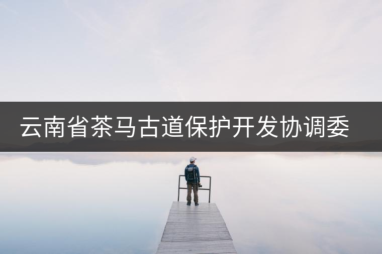 云南省茶馬古道保護開發(fā)協(xié)調委員會成立 云南省茶馬古道保護開發(fā)協(xié)調委員會成立