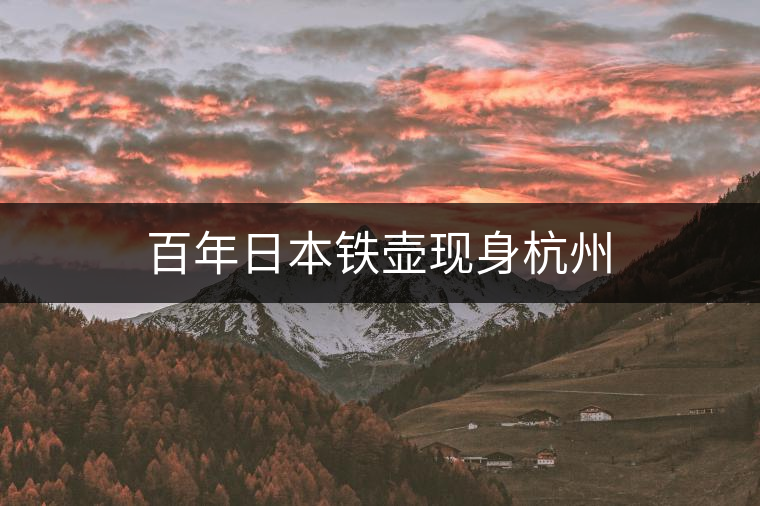百年日本鐵壺現(xiàn)身杭州 百年日本鐵壺現(xiàn)身杭州