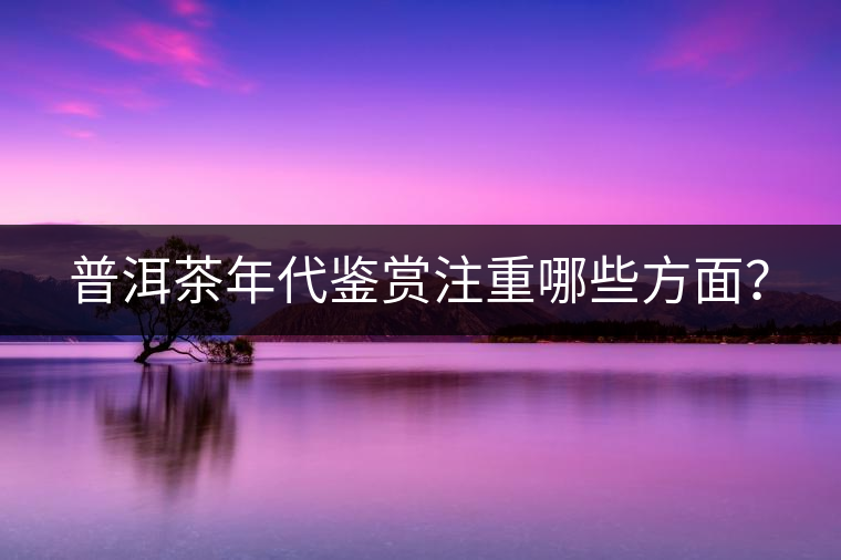 普洱茶年代鑒賞注重哪些方面？
