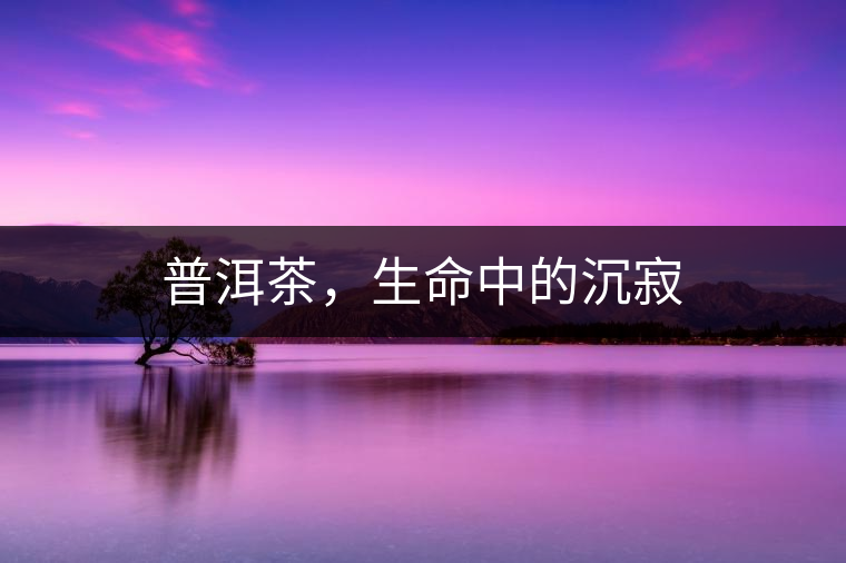 普洱茶，生命中的沉寂