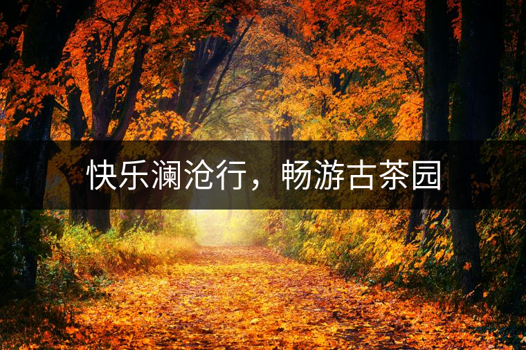 快樂瀾滄行，暢游古茶園