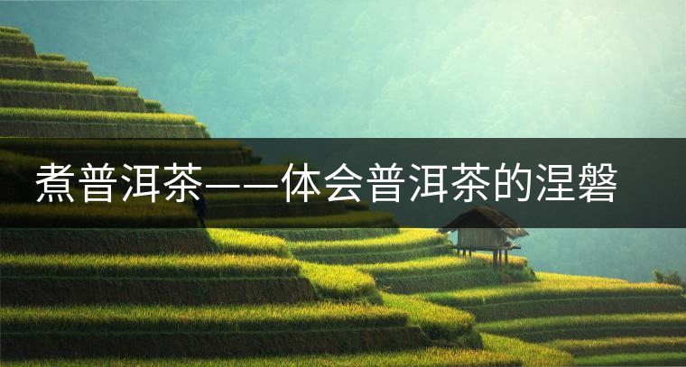 煮普洱茶——體會(huì)普洱茶的涅磐重生 煮普洱茶——體會(huì)普洱茶的涅磐重生