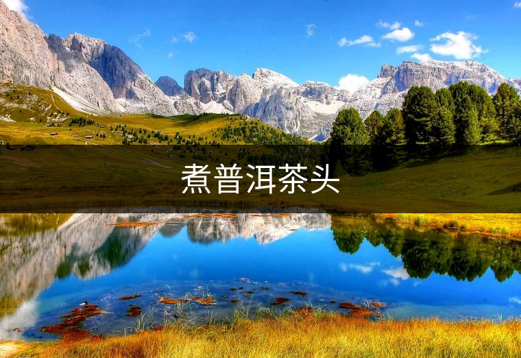 煮普洱茶頭 煮普洱茶頭