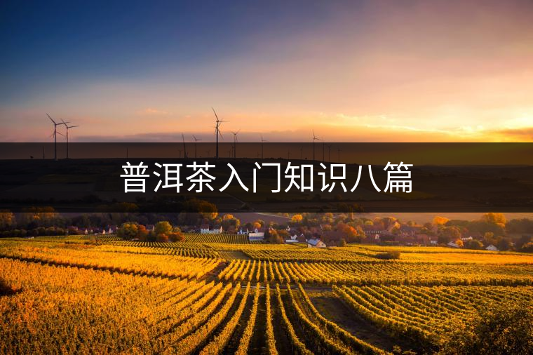 普洱茶入門知識八篇 普洱茶入門知識八篇