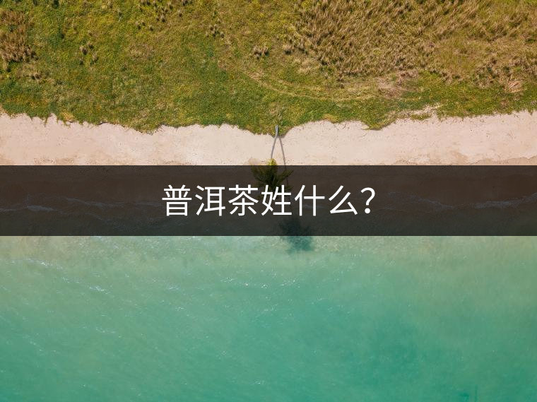 普洱茶姓什么？