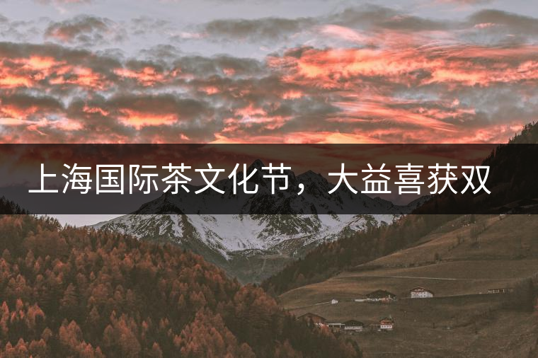 上海國際茶文化節(jié)，大益喜獲雙獎(jiǎng)